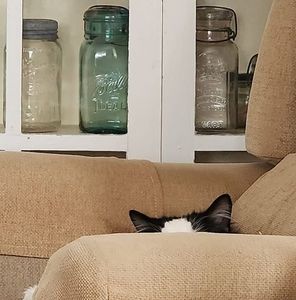 Meet your Posher, Vickie